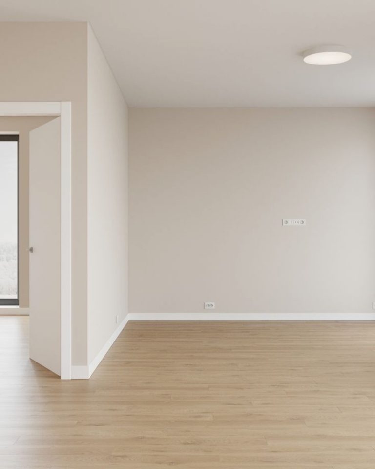 Disseny sense títol (6)