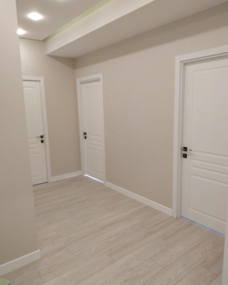 Disseny sense títol (8)